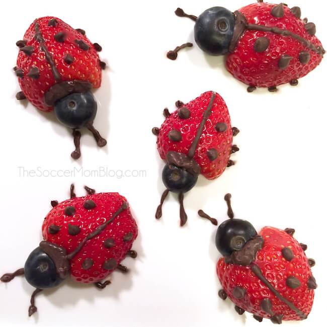 strawberry ladybugs on The Soccer Mom Blog