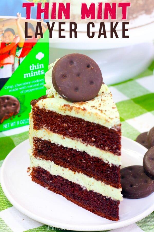 layer cake with chocolate cake and mint green frosting