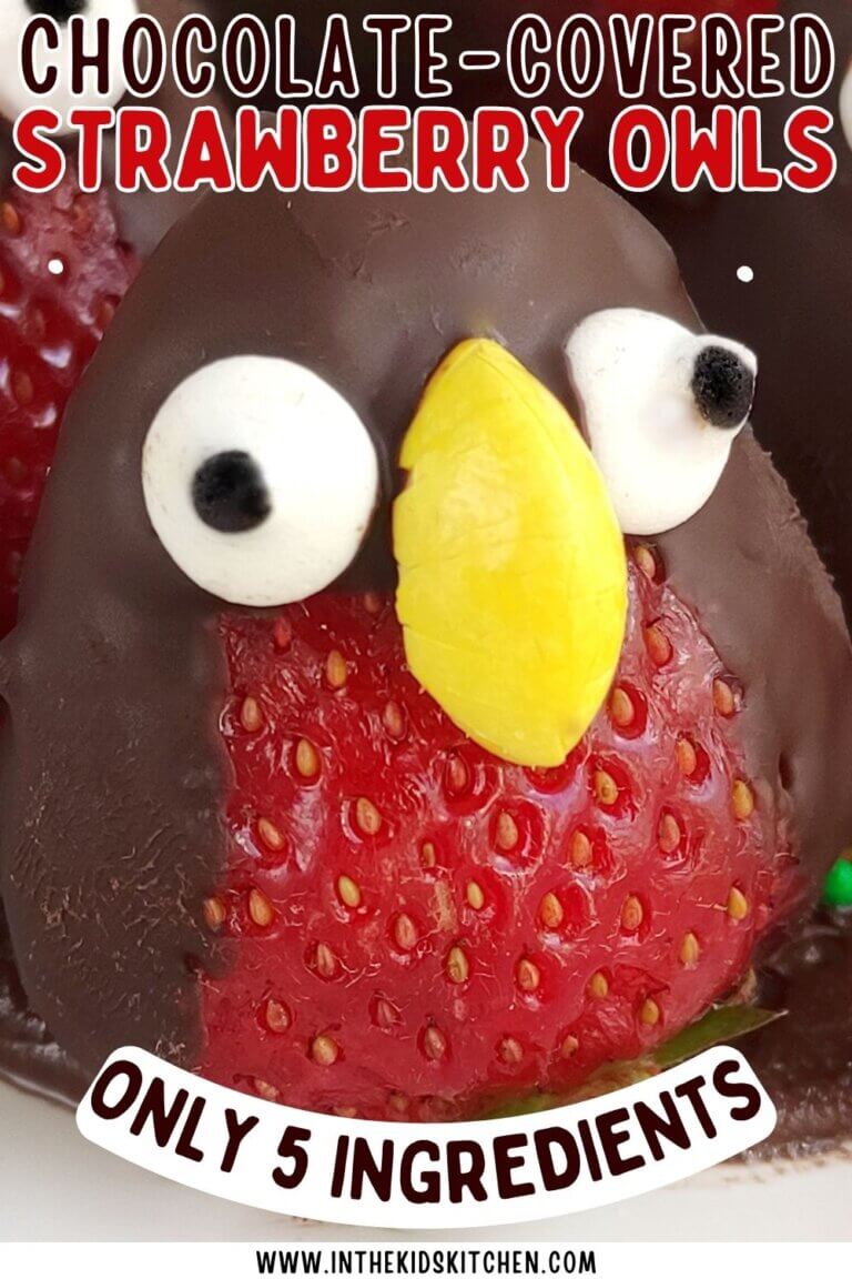 Chocolate-Covered Strawberry Owls